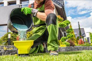 Natural Fertilization Methods for Sustainable Lawn Care