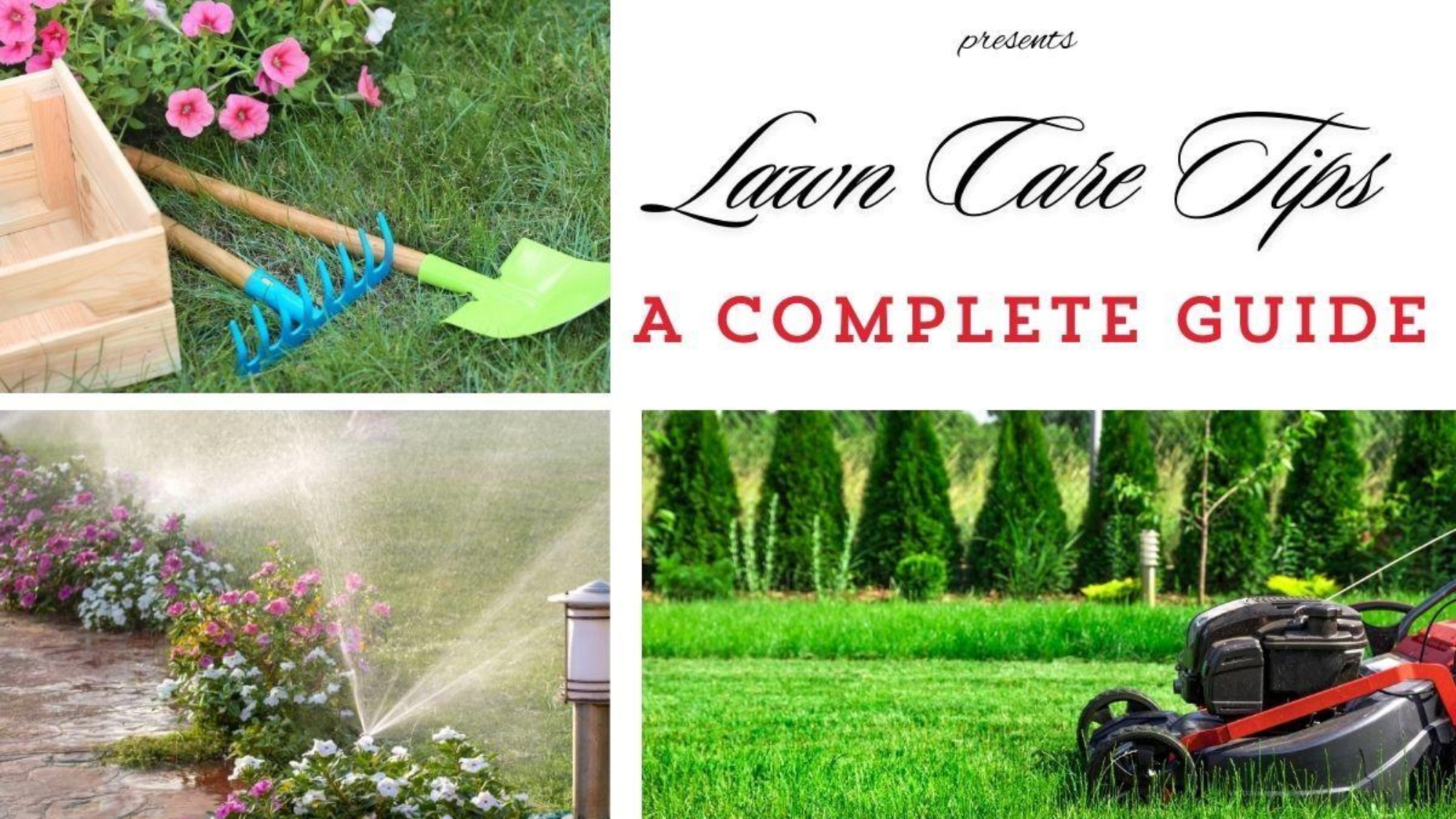 Lawn Care Tips for Homeowners