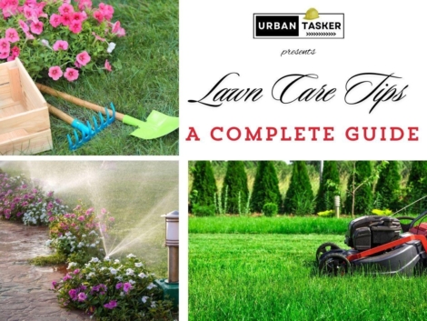 Lawn Care Tips for Homeowners