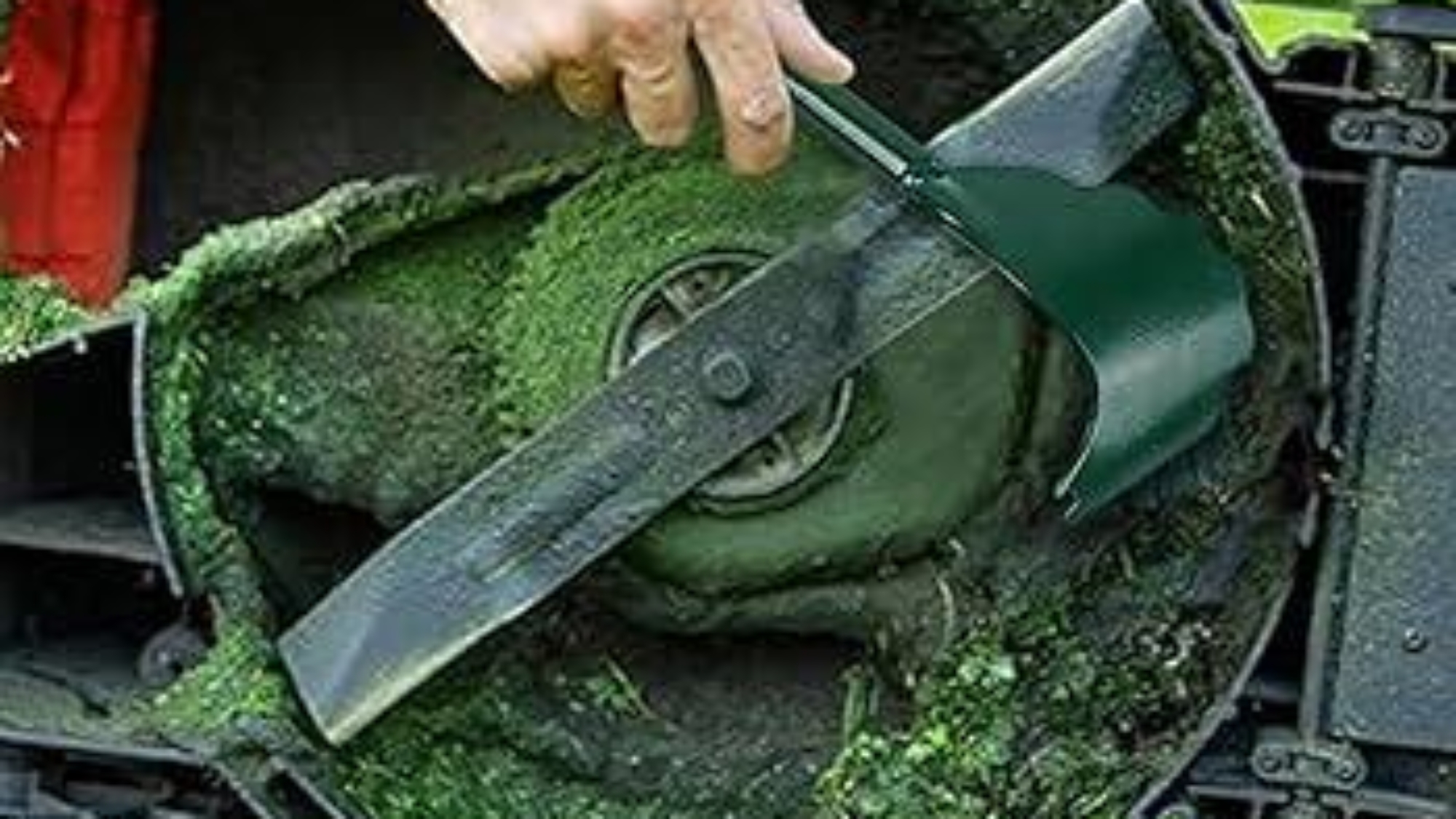 How to Clean Your Lawn Equipment for Longer Durability