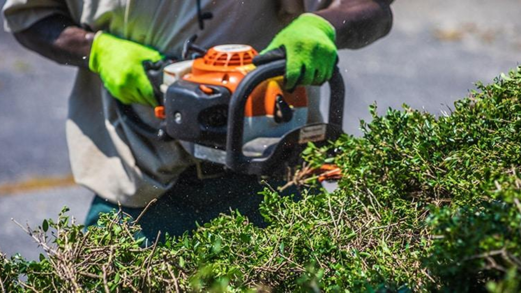 Spring-Ready Checklist for Garden Power Tools