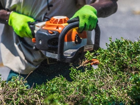 Spring-Ready Checklist for Garden Power Tools