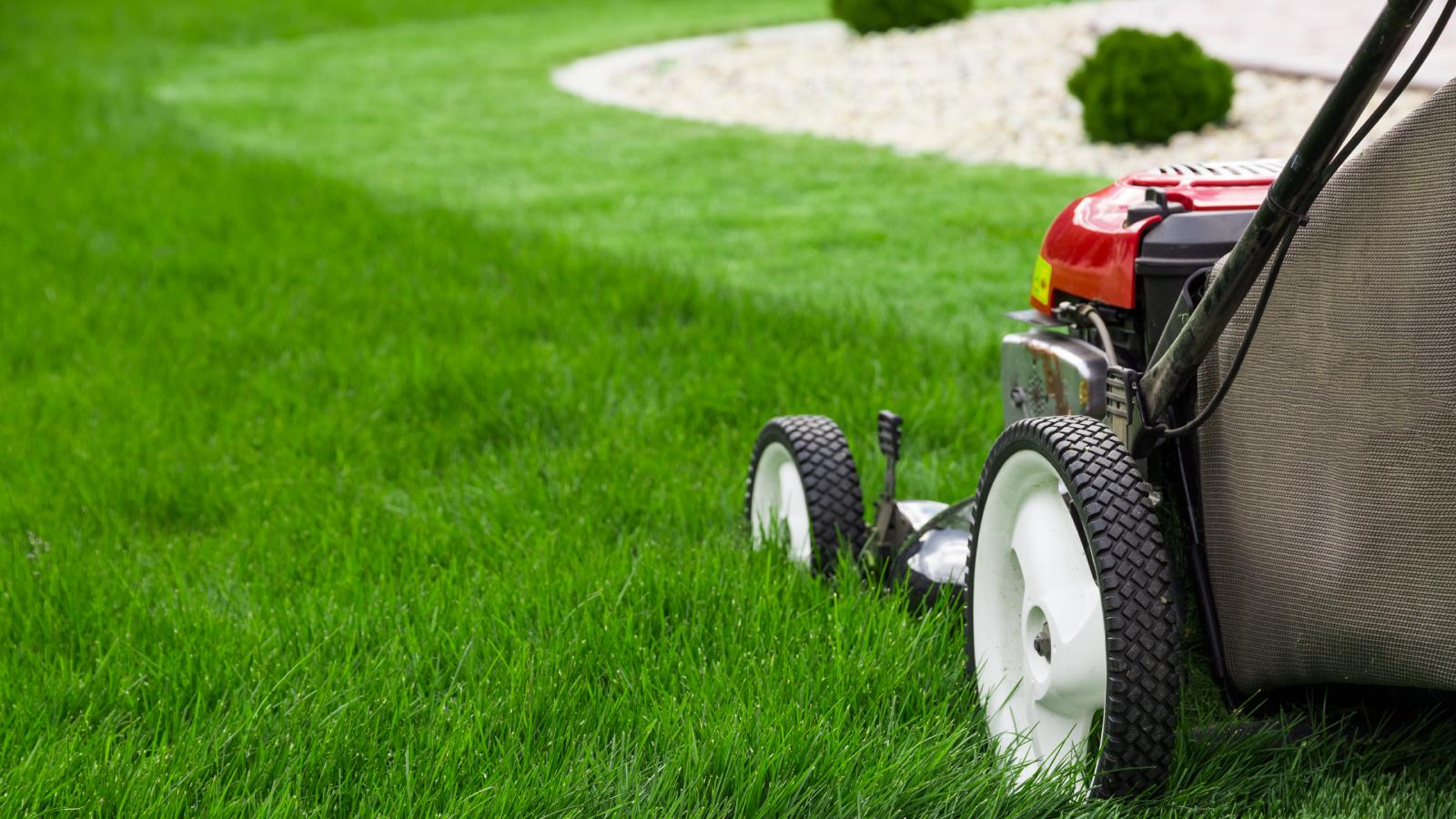 Smart Mowing Practices That Enhance Lawn Vitality