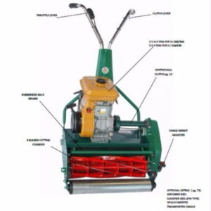 Protea SI Domestic Range – Petrol
