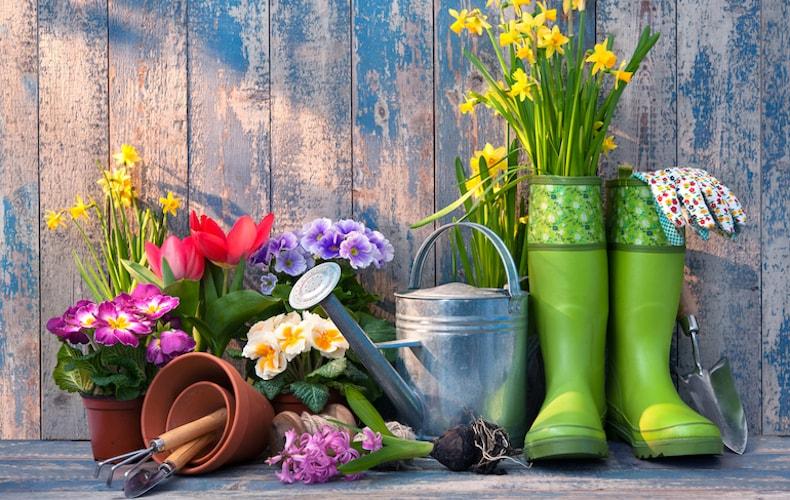 Recommended Accessories and Upgrades to Boost Your Spring Gardening Efficiency