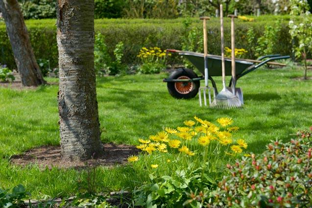 Optimal Morning Hours for Lawn Health and Growth